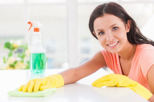 Domestic cleaning service in a modern Shoreditch home