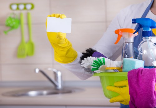 Cleaner in Shoreditch for domestic and office cleaning