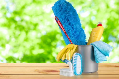 Domestic cleaner in Shoreditch cleaning a stylish apartment