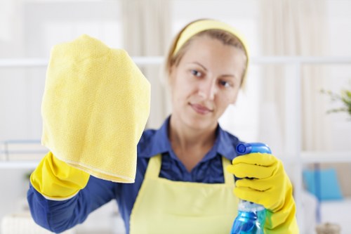 Transparent carpet cleaning pricing for a Shoreditch apartment