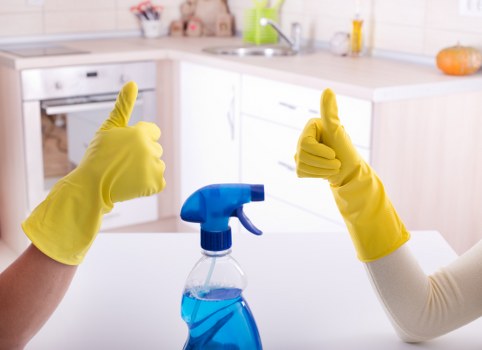 Free quote policy for Shoreditch carpet cleaning services
