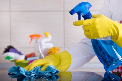Shoreditch oven cleaning for a built-in kitchen appliance