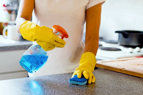 Deep cleaning support from a cleaner in Shoreditch