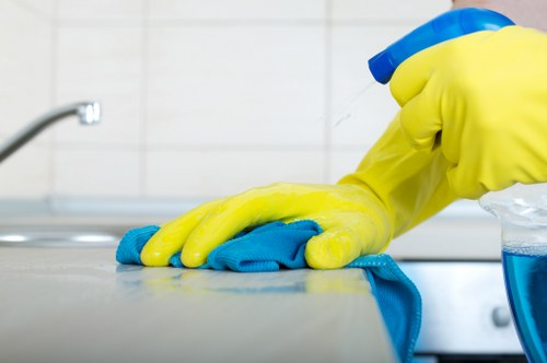 Regular home cleaning service in Shoreditch for busy residents