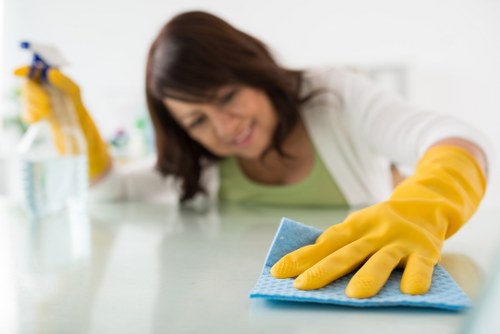 Regular domestic cleaning support for a Shoreditch residence