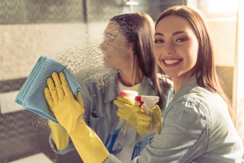Professional carpet cleaning safety standards with insurance and PPE