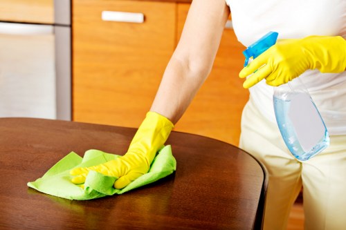 One off cleaning in Shoreditch for apartments and busy urban homes